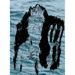 Neptunalia