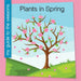 Plants in Spring