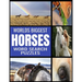 Worlds Biggest Horse Word Search Puzzles: All Things Horse Themed - 130 Fun and Challenging Word Find Puzzles - From Breeds to Equipment Over 2000 Rel