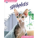 Sphynxes
