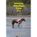 Identifying Chincoteague Ponies 2021