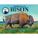 Hommage au bison: Une légende des Cris des Plaines