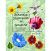 Botanical Illustration in Gouache: Easy to Follow Step by Step Demonstrations to Create Detailed Botanical Illustrations