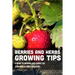 Berries And Herbs Growing Tips: A Guide To Growing And Caring For Perennial Berries And Herbs: Guide To Growing Perennial Herbs