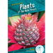 Plants of the Rain Forest