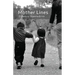 Mother Lines