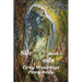 Silver's Threads, Book 2: Grey Weavings