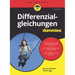 Differenzialgleichungen für Dummies