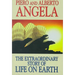 Extraordinary Story of Life on Earth
