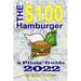 The $100 Hamburger - A Pilots' Guide 2022