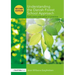 Understanding the Danish Forest School Approach: Early Years Education in Practice