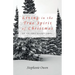 Living in the True Spirit of Christmas: An Advent Devotional