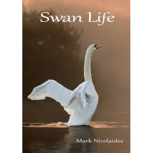 Swan Life
