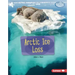 Arctic Ice Loss
