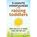 5-Minute Mindfulness for Raising Toddlers: Simple Practices to Manage Stress and Find Calm