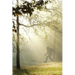 Finding Bigfoot and Other Stories
