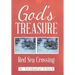 God's Treasure: Red Sea Crossing