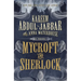Mycroft and Sherlock