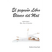 El pequeño Libro Blanco del Mat, KRN Pilates, Ayer, hoy y el proceso