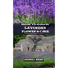 How to Grow Lavender Flower and Care: A Step by Step Guide