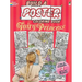 Build a Poster Coloring Book--Fairy Princess