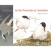 In the Footsteps of Audubon