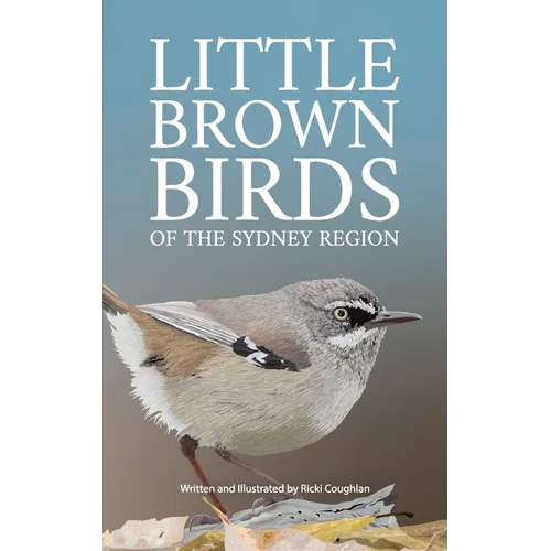 Little Brown Birds