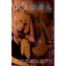 Pearl Volume 2