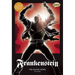Frankenstein the Graphic Novel: Original Text