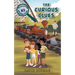 The Curious Clues