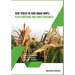Heat Stress In Food Grain Crops - Plant breeding and omics research