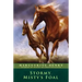 Stormy, Misty's Foal