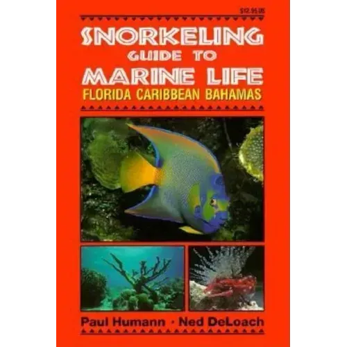Snorkeling Guide to Marine Life Florida, Caribbean, Bahamas