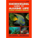 Snorkeling Guide to Marine Life Florida, Caribbean, Bahamas