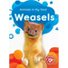 Weasels