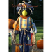 Scintillating Scarecrows