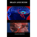 Brain Aneurysm: Surviving Aneurysm