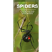 Spiders: A Folding Pocket Guide to Familiar Species Worldwide