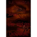 The Wolves of Langabhat
