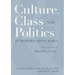 Culture, Class, and Politics in Modern Appalachia: Essays in Honor of Ronald L. Lewis