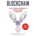 Blockchain: An Illustrated Guidebook to Understanding Blockchain