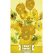 I Won't Forget Passwords To Remember: Password Tracker And Information Keeper With Alphabetical Index For Social Media, Website and Online Accounts Wi