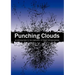Punching Clouds: An Introduction to the Complexity of Public Decision-Making