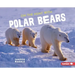 On the Hunt with Polar Bears