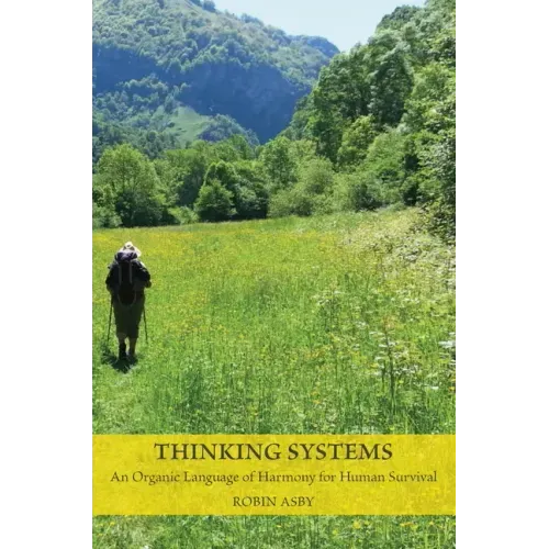 Thinking Systems