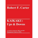 Kaikaku: Ups & Downs: A Guide for Interim CROs and DIY Management Teams in SMEs.