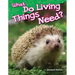 What Do Living Things Need?