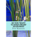 So you want to keep dwarf seahorses