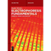 Electrophoresis Fundamentals: Essential Theory and Practice