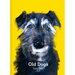 Old Dogs